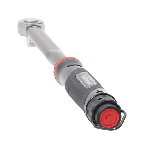 NORTORQUE